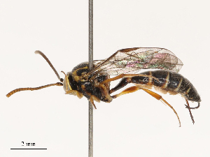  ( - CBG-B21241-H10)  @11 [ ] CreativeCommons - Attribution Share - Alike (2025) CBG Photography Group Centre for Biodiversity Genomics