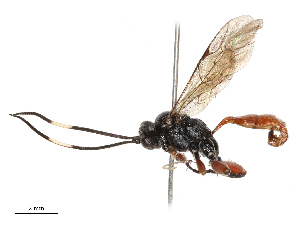  ( - CBG-B21242-C05)  @11 [ ] CreativeCommons - Attribution Share - Alike (2025) CBG Photography Group Centre for Biodiversity Genomics