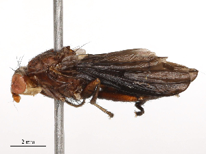  ( - CBG-B21312-A05)  @11 [ ] CreativeCommons - Attribution Share - Alike (2025) CBG Photography Group Centre for Biodiversity Genomics