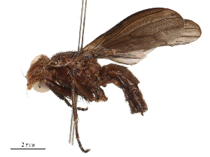  ( - CBG-B21312-B07)  @11 [ ] CreativeCommons - Attribution Share - Alike (2025) CBG Photography Group Centre for Biodiversity Genomics