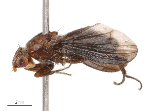  ( - CBG-B21312-D01)  @11 [ ] CreativeCommons - Attribution Share - Alike (2025) CBG Photography Group Centre for Biodiversity Genomics