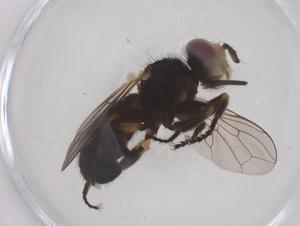  ( - CBG-B21328-B08)  @11 [ ] CreativeCommons - Attribution Share - Alike (2025) Centre for Biodiversity Genomics Centre for Biodiversity Genomics