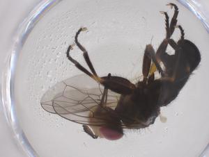  ( - CBG-B21330-E04)  @11 [ ] CreativeCommons - Attribution Share - Alike (2025) Centre for Biodiversity Genomics Centre for Biodiversity Genomics