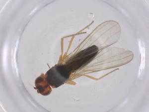  ( - CBG-B21331-B06)  @11 [ ] CreativeCommons - Attribution Share - Alike (2025) Centre for Biodiversity Genomics Centre for Biodiversity Genomics