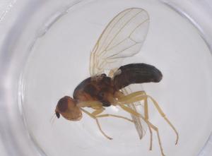  ( - CBG-B21331-D07)  @11 [ ] CreativeCommons - Attribution Share - Alike (2025) Centre for Biodiversity Genomics Centre for Biodiversity Genomics