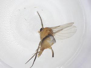  ( - CBG-B21333-A06)  @11 [ ] CreativeCommons - Attribution Share - Alike (2025) Centre for Biodiversity Genomics Centre for Biodiversity Genomics