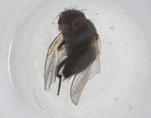  ( - CBG-B22171-A08)  @11 [ ] CreativeCommons - Attribution Share - Alike (2025) Centre for Biodiversity Genomics Centre for Biodiversity Genomics