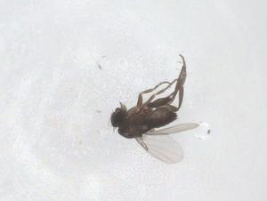  ( - CBG-B23303-A10)  @11 [ ] CreativeCommons - Attribution Share - Alike (2025) Centre for Biodiversity Genomics Centre for Biodiversity Genomics