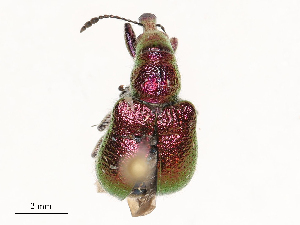  ( - CBG-B23310-E07)  @11 [ ] CreativeCommons - Attribution Share - Alike (2025) CBG Photography Group Centre for Biodiversity Genomics