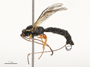  ( - CBG-B23315-B08)  @11 [ ] CreativeCommons - Attribution Share - Alike (2025) CBG Photography Group Centre for Biodiversity Genomics