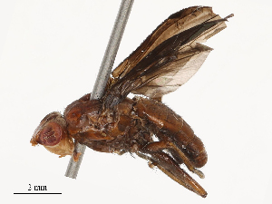  ( - CBG-B23315-D06)  @11 [ ] CreativeCommons - Attribution Share - Alike (2025) CBG Photography Group Centre for Biodiversity Genomics