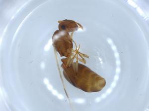  ( - BIOUG51999-H02)  @11 [ ] CreativeCommons - Attribution (2020) Centre for Biodiversity Genomics Centre for Biodiversity Genomics