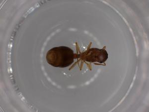  ( - BIOUG52000-A08)  @11 [ ] CreativeCommons - Attribution (2020) Centre for Biodiversity Genomics Centre for Biodiversity Genomics