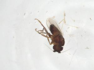  ( - CBG-A15574-C02)  @11 [ ] CreativeCommons - Attribution Share - Alike (2023) Centre for Biodiversity Genomics Centre for Biodiversity Genomics