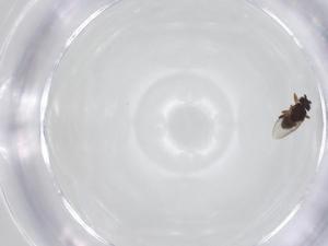  ( - CBG-A15753-F10)  @11 [ ] CreativeCommons - Attribution Share - Alike (2023) Centre for Biodiversity Genomics Centre for Biodiversity Genomics