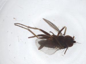 ( - CBG-A16246-H10)  @11 [ ] CreativeCommons - Attribution Share - Alike (2023) Centre for Biodiversity Genomics Centre for Biodiversity Genomics