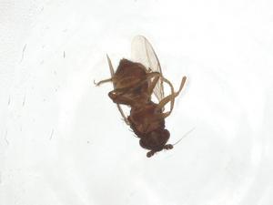  ( - CBG-A16828-F01)  @11 [ ] CreativeCommons - Attribution Share - Alike (2023) Centre for Biodiversity Genomics Centre for Biodiversity Genomics