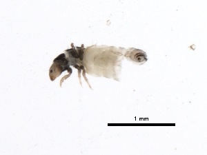  ( - BIOUG00328-A07)  @12 [ ] Unspecified (default): All Rights Reserved  Unspecified Unspecified