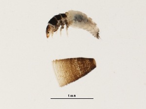  ( - BIOUG00331-C11)  @13 [ ] Unspecified (default): All Rights Reserved  Unspecified Unspecified