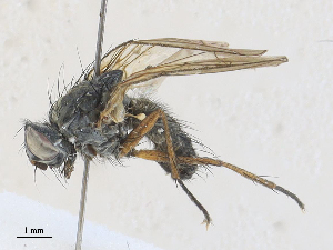  ( - CBG-A30131-C01)  @11 [ ] CreativeCommons - Attribution Share - Alike (2024) CBG Photography Group Centre for Biodiversity Genomics