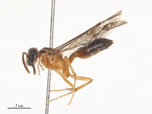  ( - CBG-A46920-C05)  @11 [ ] CreativeCommons - Attribution Share - Alike (2024) CBG Photography Group Centre for Biodiversity Genomics