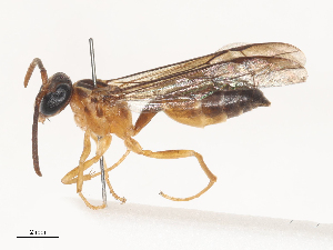  ( - CBG-A46920-H07)  @11 [ ] CreativeCommons - Attribution Share - Alike (2024) CBG Photography Group Centre for Biodiversity Genomics