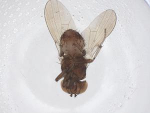  ( - CBG-A66155-E02)  @11 [ ] CreativeCommons - Attribution Share - Alike (2025) Centre for Biodiversity Genomics Centre for Biodiversity Genomics