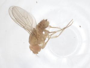  ( - CBG-A66719-H11)  @11 [ ] CreativeCommons - Attribution Share - Alike (2025) Centre for Biodiversity Genomics Centre for Biodiversity Genomics