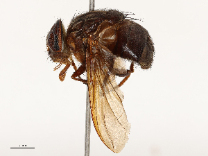  ( - CBG-A67103-H06)  @11 [ ] CreativeCommons - Attribution Share - Alike (2025) CBG Photography Group Centre for Biodiversity Genomics