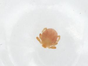  ( - CBG-A14938-G01)  @11 [ ] CreativeCommons - Attribution Share - Alike (2023) Centre for Biodiversity Genomics Centre for Biodiversity Genomics