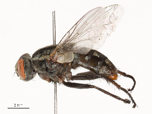  ( - CBG-B02553-B10)  @11 [ ] CreativeCommons - Attribution Share - Alike (2025) CBG Photography Group Centre for Biodiversity Genomics