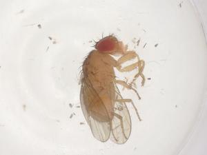  ( - CBG-B02719-A04)  @11 [ ] CreativeCommons - Attribution Share - Alike (2025) Centre for Biodiversity Genomics Centre for Biodiversity Genomics