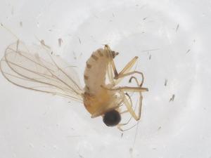  ( - CBG-B02724-E07)  @11 [ ] CreativeCommons - Attribution Share - Alike (2025) Centre for Biodiversity Genomics Centre for Biodiversity Genomics