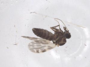  ( - CBG-B03429-H02)  @11 [ ] CreativeCommons - Attribution Share - Alike (2025) Centre for Biodiversity Genomics Centre for Biodiversity Genomics