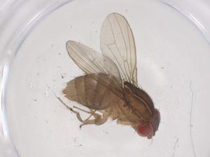  ( - CBG-B03501-E04)  @11 [ ] CreativeCommons - Attribution Share - Alike (2025) Centre for Biodiversity Genomics Centre for Biodiversity Genomics