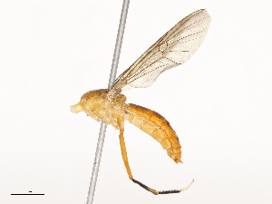  ( - CBG-B19967-C08)  @11 [ ] CreativeCommons - Attribution Share - Alike (2025) CBG Photography Group Centre for Biodiversity Genomics