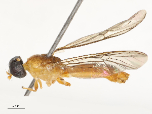  ( - CBG-B01803-B07)  @11 [ ] CreativeCommons - Attribution Share - Alike (2025) CBG Photography Group Centre for Biodiversity Genomics