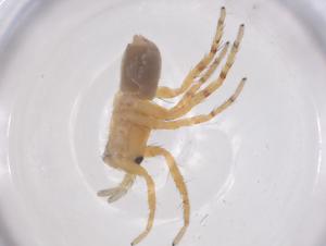  ( - CBG-B02783-E10)  @11 [ ] CreativeCommons - Attribution Share - Alike (2025) Centre for Biodiversity Genomics Centre for Biodiversity Genomics