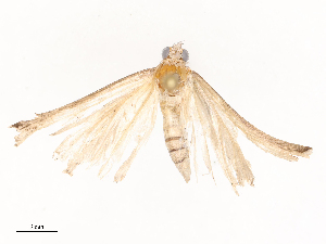  ( - CBG-B20051-H11)  @11 [ ] CreativeCommons - Attribution Share - Alike (2025) CBG Photography Group Centre for Biodiversity Genomics