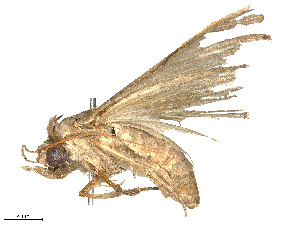  ( - CBG-B20053-H04)  @11 [ ] CreativeCommons - Attribution Share - Alike (2025) CBG Photography Group Centre for Biodiversity Genomics