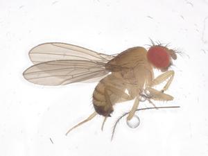  ( - CBG-B21840-E01)  @11 [ ] CreativeCommons - Attribution Share - Alike (2025) Centre for Biodiversity Genomics Centre for Biodiversity Genomics