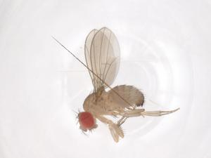  ( - CBG-B21840-H10)  @11 [ ] CreativeCommons - Attribution Share - Alike (2025) Centre for Biodiversity Genomics Centre for Biodiversity Genomics