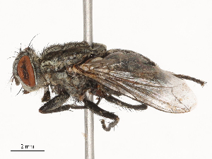  ( - CBG-B21841-H09)  @11 [ ] CreativeCommons - Attribution Share - Alike (2025) CBG Photography Group Centre for Biodiversity Genomics