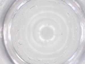  ( - CBG-B23547-C06)  @11 [ ] CreativeCommons - Attribution Share - Alike (2025) Centre for Biodiversity Genomics Centre for Biodiversity Genomics