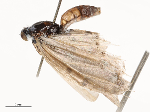  ( - CBG-B02557-E04)  @11 [ ] CreativeCommons - Attribution Share - Alike (2025) CBG Photography Group Centre for Biodiversity Genomics