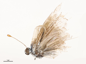  ( - CBG-B02557-E05)  @11 [ ] CreativeCommons - Attribution Share - Alike (2025) CBG Photography Group Centre for Biodiversity Genomics