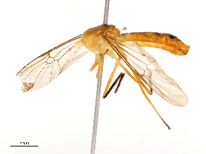  ( - CBG-B03145-E10)  @11 [ ] CreativeCommons - Attribution Share - Alike (2025) CBG Photography Group Centre for Biodiversity Genomics