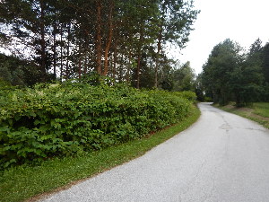  ( - KL-183983)  @11 [ ] Copyright (2018) E.C.O. Institute of Ecology E.C.O. Institute of Ecology