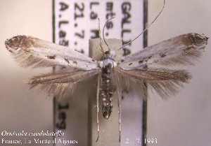  ( - F04caud)  @11 [ ] Unspecified (default): All Rights Reserved  Unspecified Unspecified