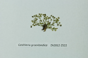  ( - ZA2012-2522)  @11 [ ] Copyright (2013) Tomas Roslin University of Helsinki